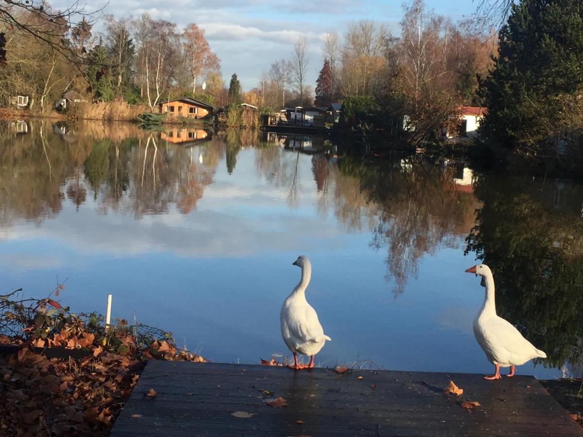 Vakantiehuisje De Waterhoek جيل المظهر الخارجي الصورة